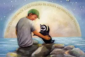 泪目！每年横跨海洋8048km只为见一面！网友：这是什么浪漫童话…图片