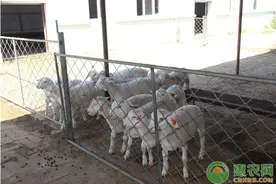 注意，这四种养殖场将会被拆除！看看有你吗？图片