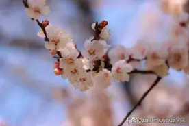 热爱105℃的你图片