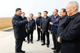 【沿着习近平总书记的足迹③】盐碱地上的绿色梦图片