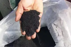 陕西省凤翔苹果树春季管理技术图片
