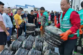 海鲜肥了！大连水产市场交易活跃图片