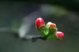 散文|欣赏一个人：始于颜值，终于人品图片