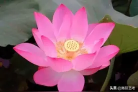 什么是开胯？我来告诉你图片