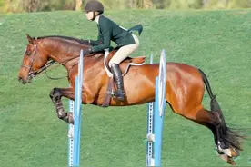 “美式轻骑法”的四种方式：骑马时，是“坐”还是“不坐”？图片