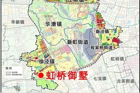 虹桥主城纯独栋！唯一的对手，是上一个自己图片