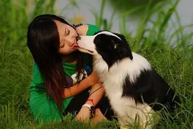 公认“难养”的7种狗，任何一种，都会让人崩溃图片