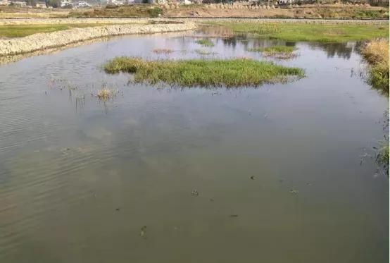 澶╂皵杞噳锛屾睜濉樼殑娉ョ毊寮€濮嬪嚭鐜颁簡