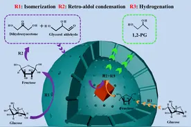 青岛科大于世涛教授团队在高稳核壳催化剂催化葡萄糖转化取得进展图片