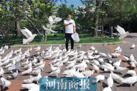 小伙在紫荆山公园做鸽子生意，一做就是20多年，生意好时一月赚6000多图片