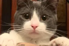 “左、中，右”图片