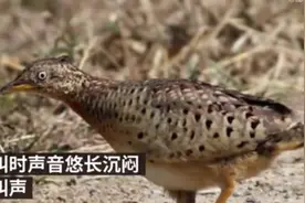 贵州山中“龙吟”有结果了！网友表示：很惊讶图片