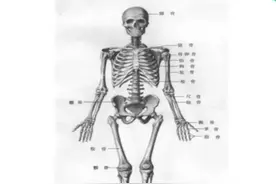 影像技术之X线摄影技术（工作必备）图片