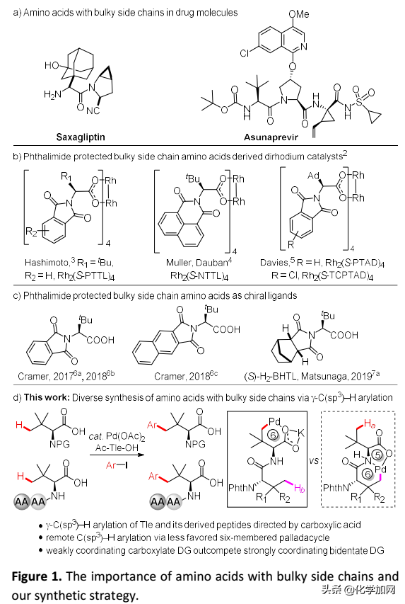 浙大史炳锋课题组Chem. Sci.：合成含大体积侧链的氨基酸和多肽