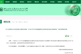 神童？昆明一小学生写出晦涩医学论文引争议，官方回应：系研究员之子图片