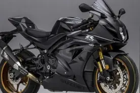 铃木发布GSX-R1000R特别版本图片