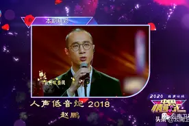 中国情歌汇经典回顾｜实力翻唱致敬经典图片