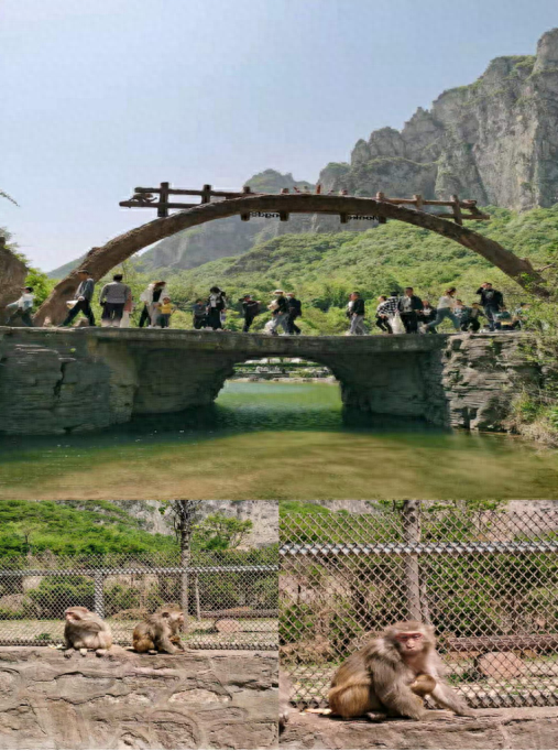 云台山旅游攻略两日游(云台山必去的五个景点)