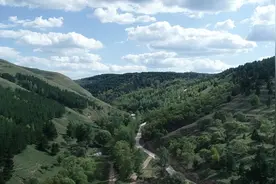 【我在黄河岸边走】一段顺口溜，树活了！山绿了！图片