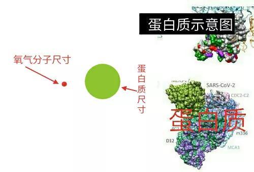 《宇宙的秘密全部揭开（二十四）分子生物学》