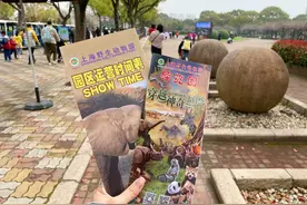 上海野生动物园的出游指南图片