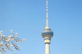 爱家乡 游河北 发现身边的美 | 张家口这10个踏青赏花景区，看看你都去过哪些？图片