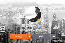 辛巴武汉1.5亿捐款是真的吗 快手辛巴是谁干什么的个人资料图片