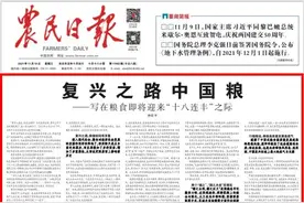 农民日报仲农平文章：复兴之路中国粮图片