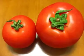 西红柿也分公母？买到母的才脆甜，教你5个挑选窍门，一挑一个准图片