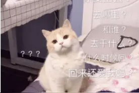 荒野健康：辛辛苦苦吃下去25g蛋白质就都是你的？它去哪儿了？图片