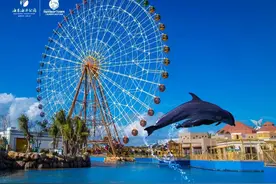 三亚10月亲子活动汇总！这些地方藏着孩子的快乐童年图片