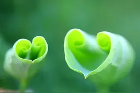 飞机延误，妻子痛哭真相惹人心疼：有些人，错过就是一辈子图片