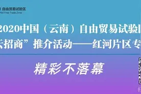 招商引资|精彩持续中——中国（云南）自由贸易试验区“云招商”推介活动红河专场图片