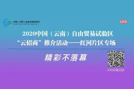招商引资|精彩持续中——中国（云南）自由贸易试验区“云招商”推介活动红河专场图片