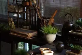 莳蒲养心：供于案头的山野气息图片