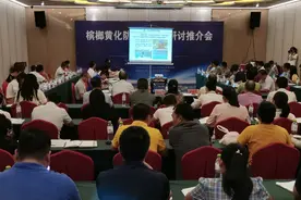 海南发布槟榔黄化防控明白纸 助农户遏制槟榔黄化扩散图片