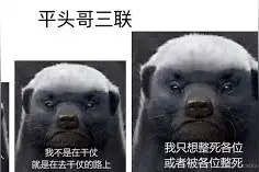 「视频」 生死看淡，不服就干！平头哥的日常生活Vlog图片