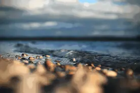 食用螺类大全！这么多食用螺类，你都吃遍了吗？图片