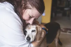 主人家里常放的樟脑丸，也可能让狗狗中毒，一旦它吃下需及时就医图片