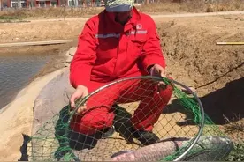 黑坑滑鱼很难钓,搞懂三大特征选择合适的调钓方法，即可提高鱼获图片