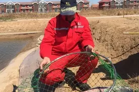 黑坑滑鱼很难钓,搞懂三大特征选择合适的调钓方法，即可提高鱼获图片