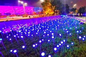 鸟巢边绽放灯光“花海”！这里成北京夜晚最吸睛地之一图片