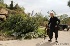 105岁老人把75岁的儿子当小孩，疼爱有加，天天为他做饭吃图片