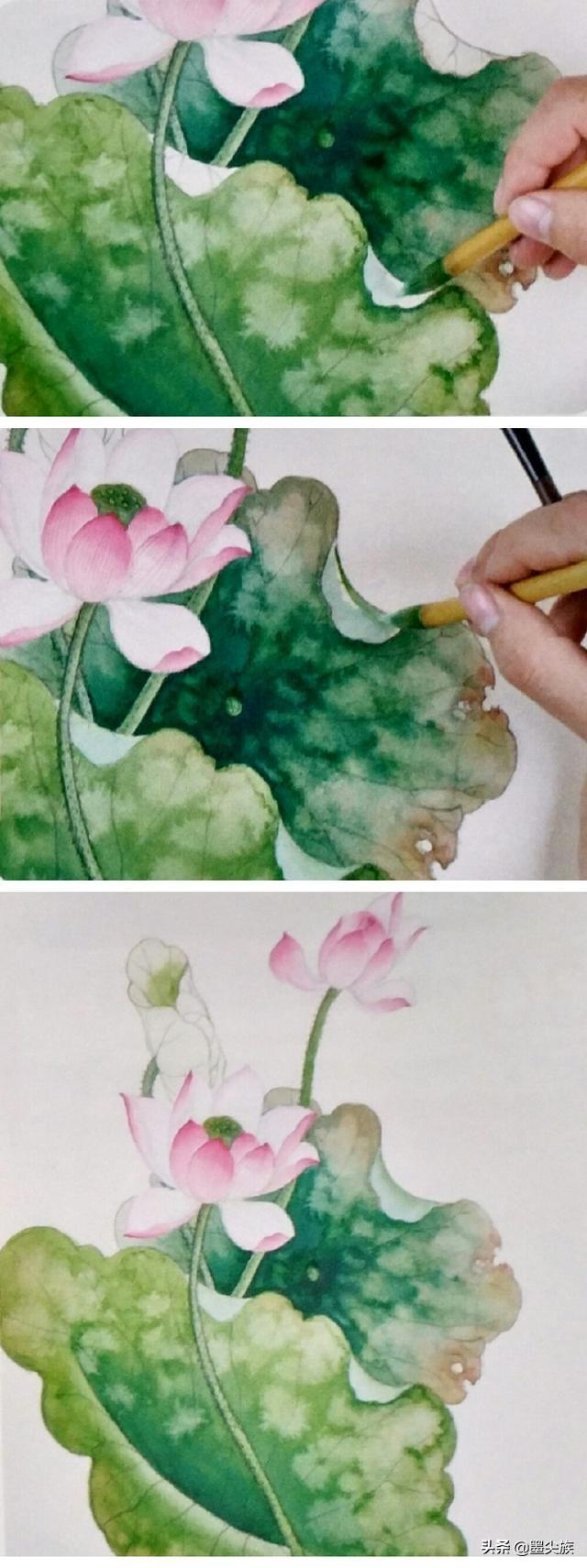 国画工笔花卉染色方法(国画工笔花卉入门白描)-措必培