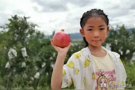 1986年突尼斯赠送的礼物——6棵软籽石榴树苗，现在依然“茂盛”图片