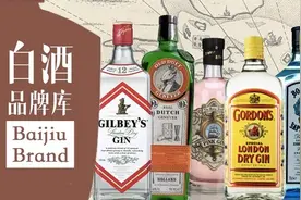 世界六大蒸馏酒起源之金酒：利尿剂翻身成世界第一烈酒的传奇故事图片