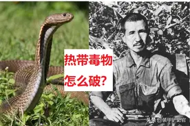 小野田野外生存30年，如何应对蚊蚁虫蛇等热带毒物图片