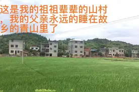 叙事：父亲生命的最后两个月图片