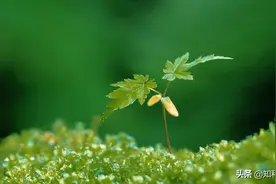 不哭不闹，一个女人伤透了心，反而会是这样图片