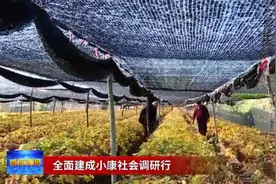 八粒种子铺就小康路图片